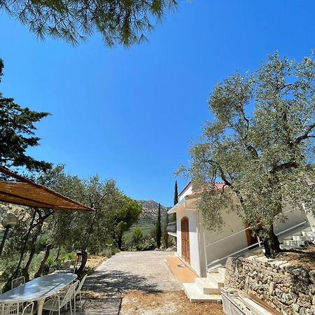 Colori Del Sud - Residence Матината Екстериор снимка